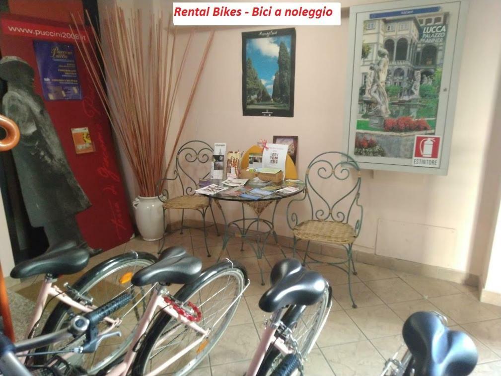 B&B Ai Cipressi Lucca Bagian luar foto